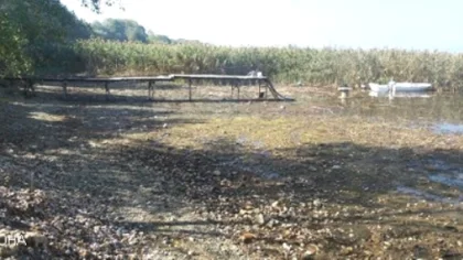 Sapanca Gölü'nü Kurtarma Planı Hazır