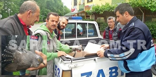 Yaralı Halde Bulduğu Atmacayı Yetkililere Teslim Ettti