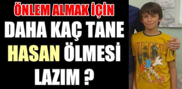 Sapanca Gölü'nde Neden Önlem Alınmıyor ?