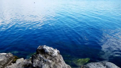 İsu: ''Suyun Yarısını Sapanca'dan Alıyoruz''