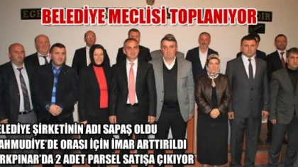 Sapanca Belediye Meclisi Bu Ay Bakın Nelere Karar Verecek ?