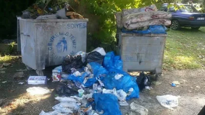 Sapanca'da Çöp Sorunu Büyüyor