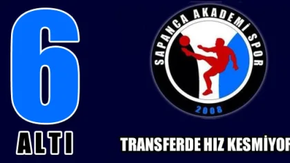 Sapanca Akademispor'dan Altyapıya 6 Transfer Birden Geldi