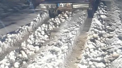Sapanca Soğucak Yaylasında Kar Kalınlığı 15 Santimi Aştı