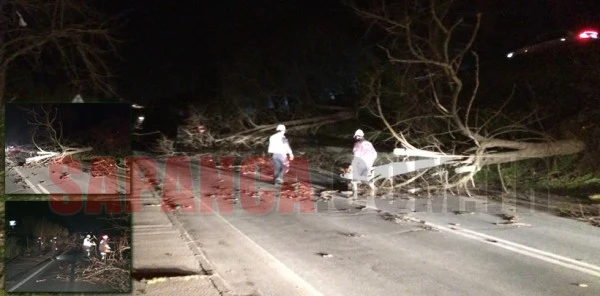 Sapanca'da Fırtına Ağaçları Devirdi. Sapanca - Adapazarı Karayolunu Kapattı
