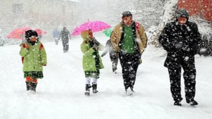 Kar Yağışı Sebebiyle Sakarya ve Sapanca'da Okullar 9 Ocak Cuma Günü Tatil Edildi