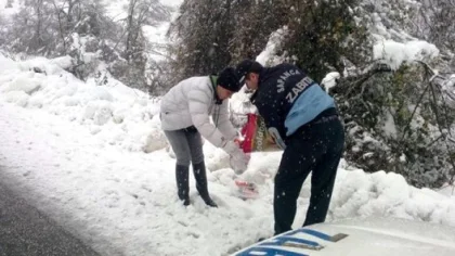 Kara Kışta Sokak Hayvanlarını Aç Bırakmadılar