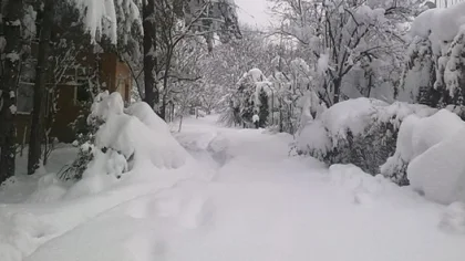 Meteoroloji'den 'Dikkat' Mesajı