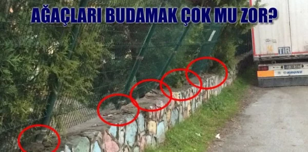 Budanmayan Ağaçlar Okulu Çevreleyen Tel Örgüleri Yerinden Söktü