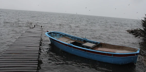 Sapanca Gölü Maksimum Seviyeye Çıktı