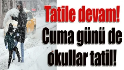 20 Şubat Cuma Günü Sapanca'da Okullar Tatil Edildi