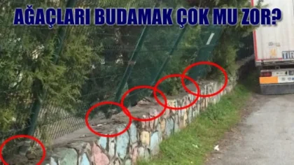 Budanmayan Ağaçlar Okulu Çevreleyen Tel Örgüleri Yerinden Söktü