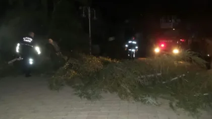İtfaiye ve Polis Ekiplerinin Fırtınayla Mücadelesi Sürüyor