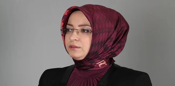 Atabek, Akşam Gazetesi'nde Sakarya'yı Anlattı