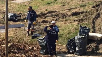 Sapanca Gölü Kıyısında Temizlik Yapıldı