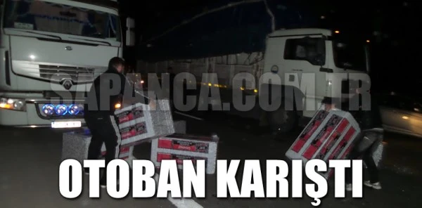 Tem'de Rüzgarlı Gece Ortalık Karıştı!