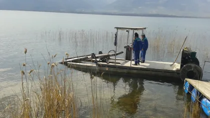 Sapanca Gölü Çevresinde Temizlik Çalışması Yapıldı