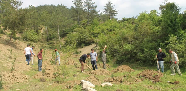 Sapanca Myo'dan Hatıra Ormanı