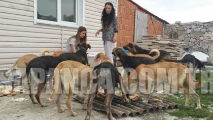 Bütün Mücadelesi Aç Kalmamaları için