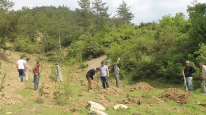 Sapanca Myo'dan Hatıra Ormanı