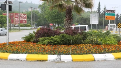 Yeşil Sapanca'da Çiçekler Açıyor