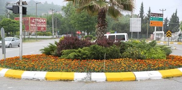 Yeşil Sapanca'da Çiçekler Açıyor