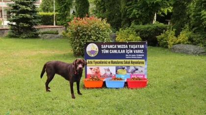 Başkan Yılmazer, 'Sokak Hayvanlarına Sahip Çıkalım'