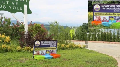 Sapanca'da Sokak Hayvanları için Su ve Yemek Kapları Yerleştirildi