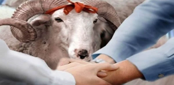 Bayram Namazı 7:27’de Kılınacak