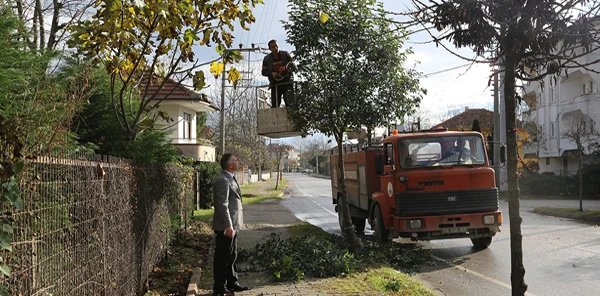 İpekyolu Caddesi'ne Çevre Bakımı