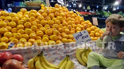 Sapanca Cuma Pazarı 27 Kasım Tarihli Parakende Sebze ve Meyve Fiyatları