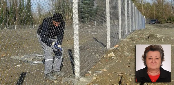 Sapanca Sokak Hayvanları Derneği'nden Teşekkür