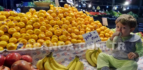 Sapanca Cuma Pazarı 8 Ocak Tarihli Parakende Sebze ve Meyve Fiyatları