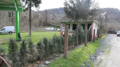 Akçay Mahallesi'nde Peyzaj Çalışmaları