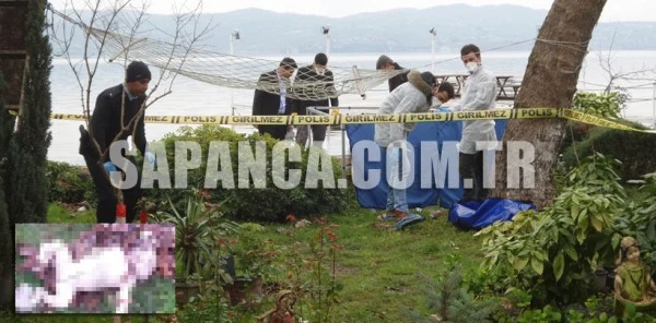Sapanca'da Bebek Cesedi Bulundu