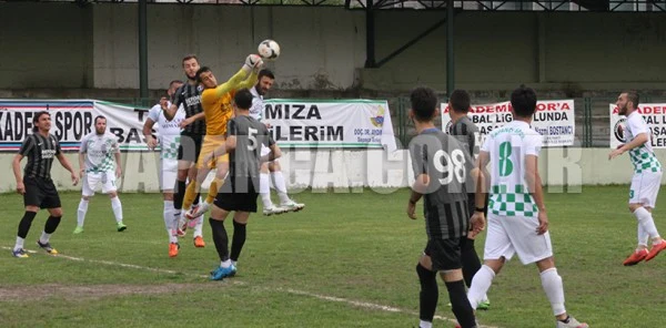 Bal Yolunda Dev Adım