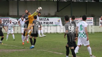 Bal Yolunda Dev Adım