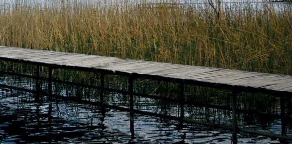 Sapanca Gölü'ndeki İskelelere Dava