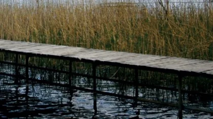 Sapanca Gölü'ndeki İskelelere Dava
