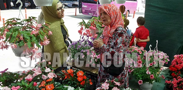 Canlı Çiçeklere Talep Arttı