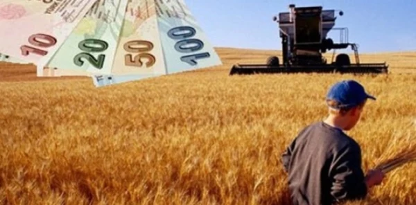 Sapanca 2 Çiftçi Hibe Desteğinden Yararlandı