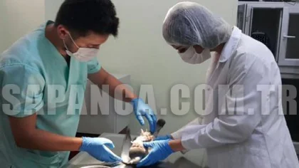 Yaralı Güvercine Operasyon