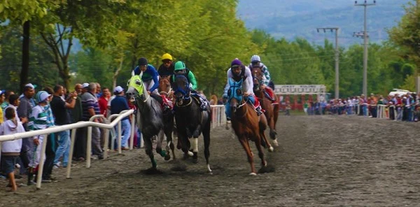 Sapanca Mahalli At Yarışları Ertelendi