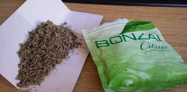Bonzai'den Biri Öldü Diğeri Tutuklandı