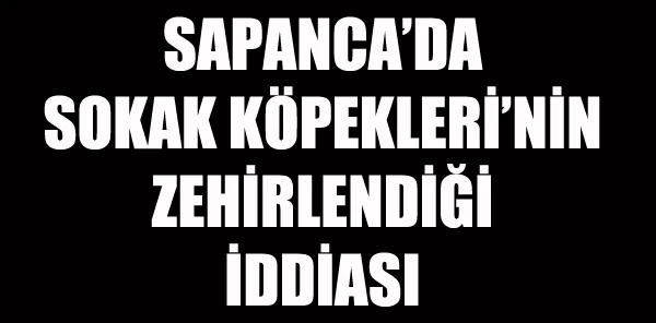 Sapanca Belediyesi: 'Köpek Zehirlenmeleriyle Bir İlgimiz Yok'