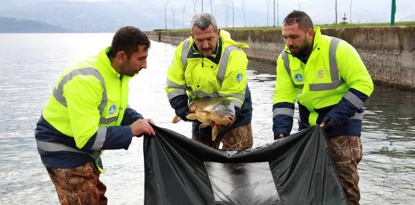 Sapanca Gölü'nün Doğal Güzelliğini Koruyacaklar