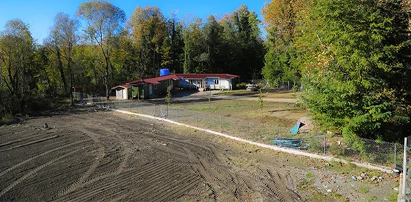 Sapanca Sokak Hayvanları Koruma ve Yaşatma Derneği'nden Açıklama