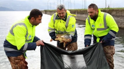 Sapanca Gölü'nün Doğal Güzelliğini Koruyacaklar
