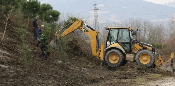 Fidan Ekimi ve Budama Çalışmaları