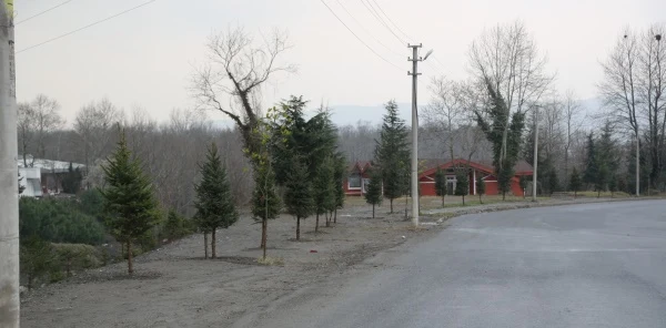 Daha Yeşil Bir Sapanca için
